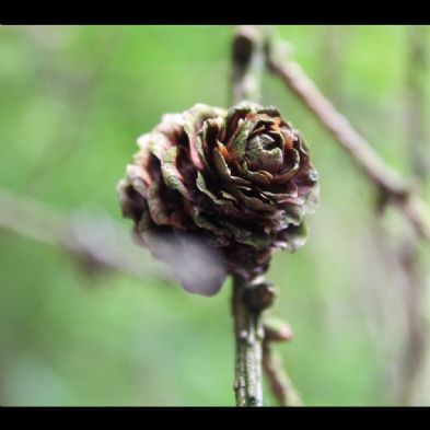 tsa_PhotoClubHomeLearning (62)